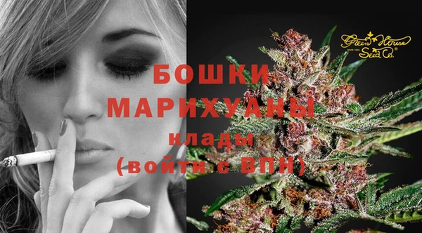 ECSTASY Горняк