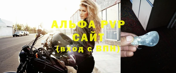 твердый Новодвинск