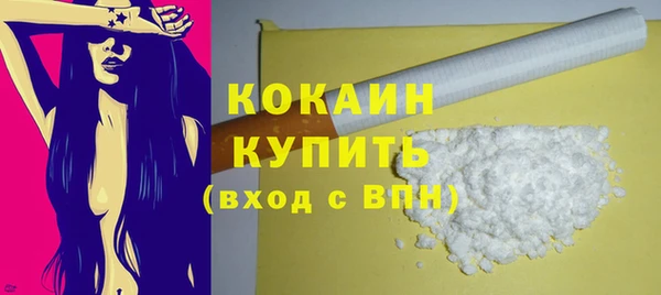 ECSTASY Горняк