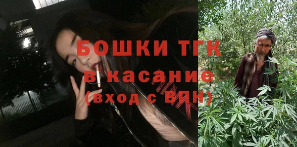 трава Няндома
