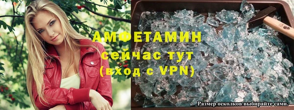 твердый Новодвинск