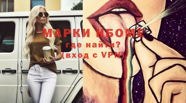 твердый Новодвинск