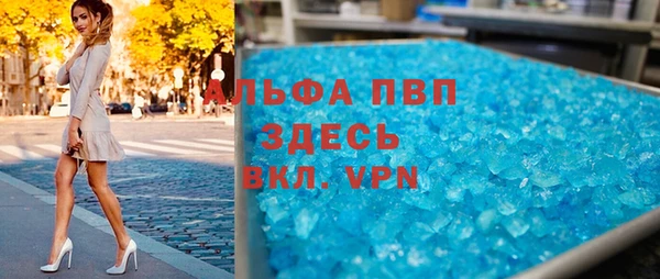 стафф Новозыбков