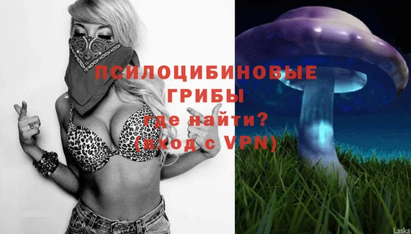 амфетамин Гатчина