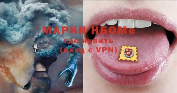 стафф Новозыбков