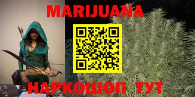 PSILOCYBIN Гатчина