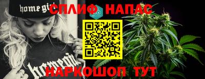 PSILOCYBIN Гатчина
