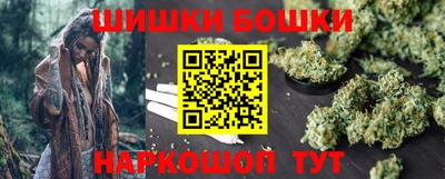 PSILOCYBIN Гатчина