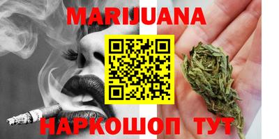 PSILOCYBIN Гатчина