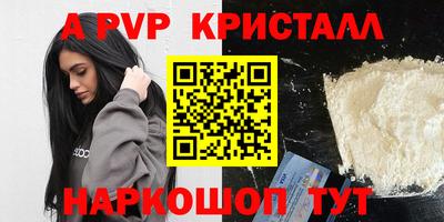 PSILOCYBIN Гатчина