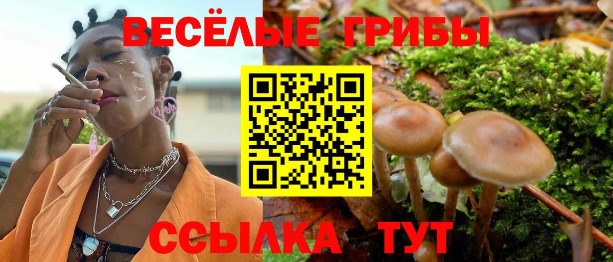 Галлюциногенные грибы ЛСД  Вход с VPN  Удомля 